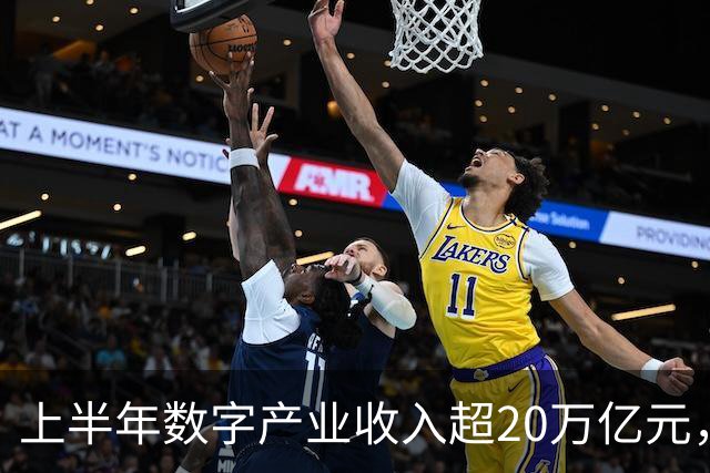 上半年数字产业收入超20万亿元，同比增长13.6%